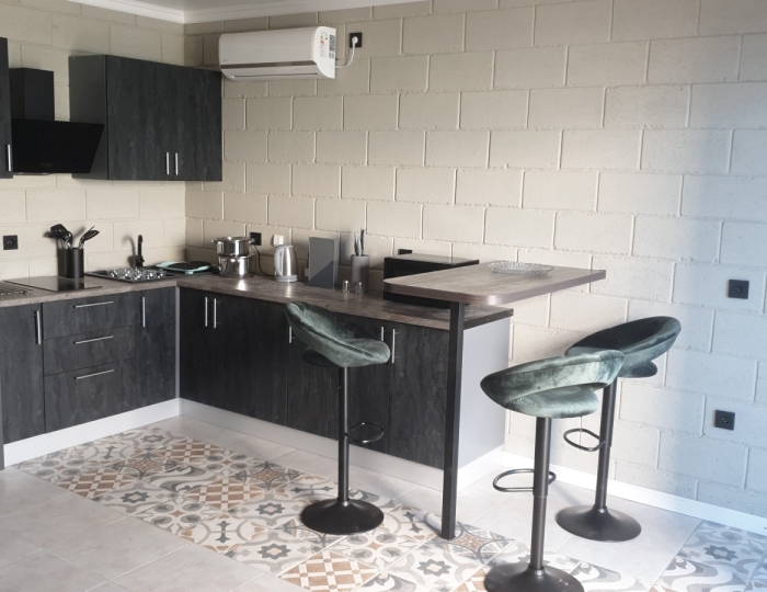 Апартаменты 2-местные 2-комнатные апартаменты - Отель Apsny Pearl / Апсны Перл Жемчужина Цандрипш